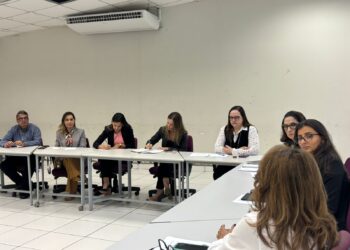 TCE-MS avança em programa que promove autonomia financeira para mulheres em situação de violência