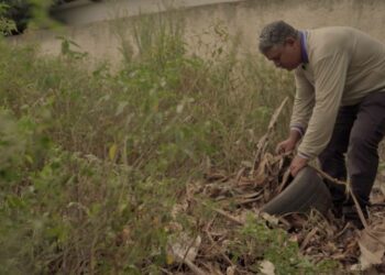 Aldeias de Dourados recebem reforço no atendimento em meio à emergência por chikungunya