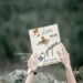 Entre pipas, memórias e natureza, livro infantil aposta na sensibilidade para formar leitores