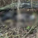 Corpo ainda não identificado é encontrado pela PM em área de mata de Três Lagoas