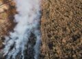 Em CG, curso capacita produtores rurais a usar ferramenta de monitoramento e manejo do fogo no Pantanal