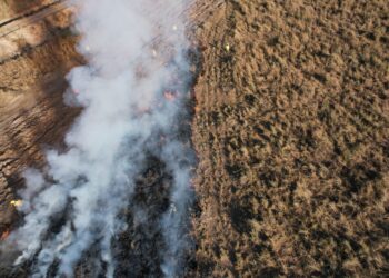 Em CG, curso capacita produtores rurais a usar ferramenta de monitoramento e manejo do fogo no Pantanal