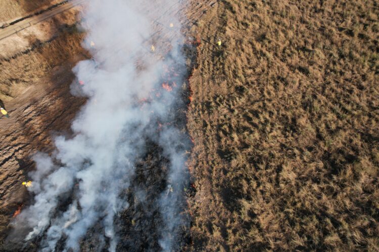 Em CG, curso capacita produtores rurais a usar ferramenta de monitoramento e manejo do fogo no Pantanal