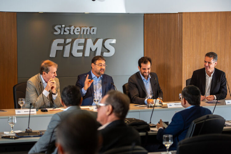 Fiems e BNDES firmam parceria para viabilizar linhas de crédito ao setor produtivo do estado