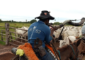 Peão de comitiva morre 4 meses depois de cair de caminhão boiadeiro em Corumbá
