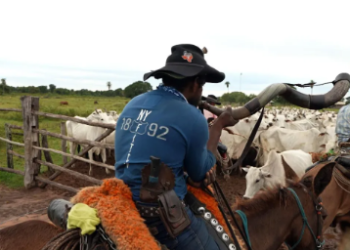 Peão de comitiva morre 4 meses depois de cair de caminhão boiadeiro em Corumbá