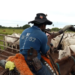 Peão de comitiva morre 4 meses depois de cair de caminhão boiadeiro em Corumbá