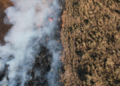 Sifau: produtores de Corumbá recebem capacitação prática sobre manejo do fogo no Pantanal
