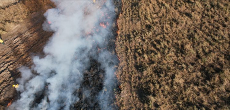 Sifau: produtores de Corumbá recebem capacitação prática sobre manejo do fogo no Pantanal