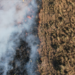 Sifau: produtores de Corumbá recebem capacitação prática sobre manejo do fogo no Pantanal