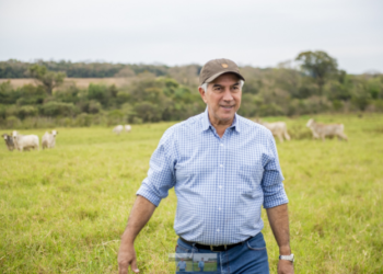 Pré-candidato ao Senado, Reinaldo diz que produtor faz sua parte, mas falta política agrícola forte do Governo Federal