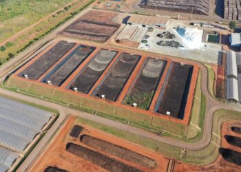 Suzano zera envio de resíduos a aterros industriais e transforma material em insumos agrícolas em Três Lagoas