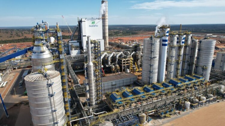 Suzano abre 5 vagas nas áreas florestal, industrial e de manutenção em Ribas do Rio Pardo