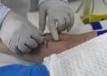 SES divulga nota reforçando vigilância e MS segue sem casos confirmados de hantavirose há 7 anos
