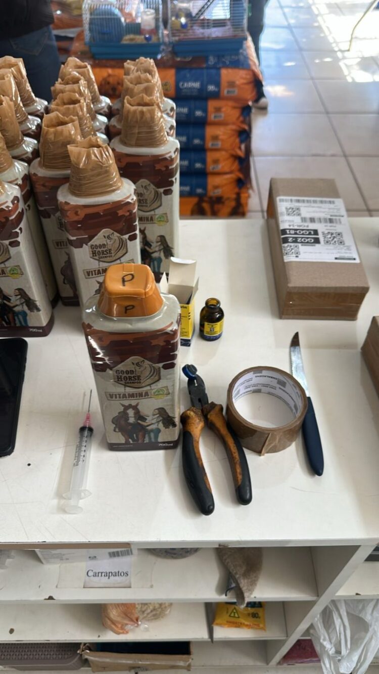 Médica presa por vender shampoo de cavalo pra humano em CG é autuada, mas responderá em liberdade