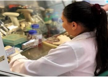 Centelha MS ganha novo prazo para inscrições de ideias inovadoras