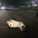 Motociclista é fechado por carro, cai e morre esmagado por ônibus na Gunter Hans nesta noite