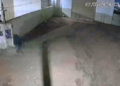 Capivara News TV: Vídeo mostra 2 arrombando empresa de saneamento e furtando objetos na Capital
