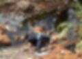 Homem é encontrado morto dentro de lago em Pedro Juan fronteira com Ponta Porã