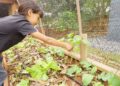 Empresas lançam edital com R$ 500 mil para escolas que tenham iniciativas voltadas a natureza