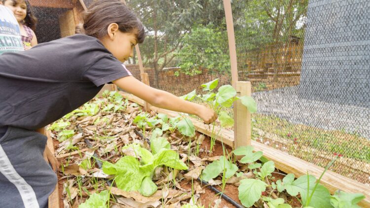 Empresas lançam edital com R$ 500 mil para escolas que tenham iniciativas voltadas a natureza