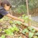 Empresas lançam edital com R$ 500 mil para escolas que tenham iniciativas voltadas a natureza