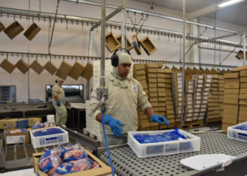 Exportações de industrializados de MS somam US$ 605,1 milhões em maio