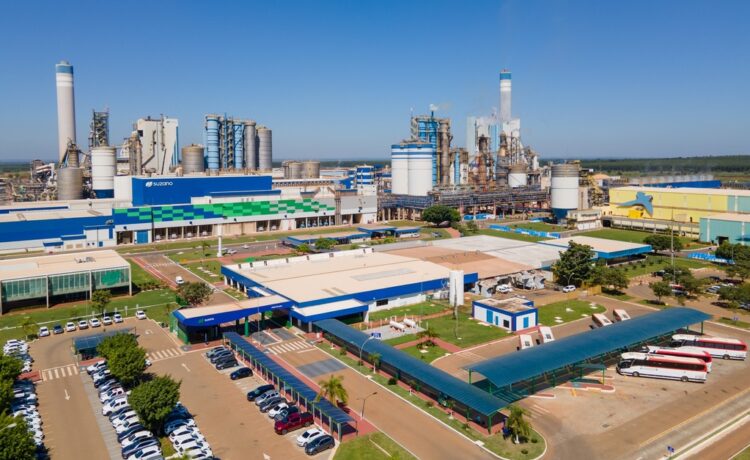 Suzano abre 8 vagas de emprego para atender suas operações em Ribas do Rio Pardo e Três Lagoas