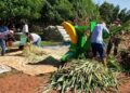Em 6 anos, projetos apoiados pela Suzano retiraram 31 mil pessoas da linha da pobreza em Mato Grosso do Sul