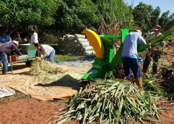 Em 6 anos, projetos apoiados pela Suzano retiraram 31 mil pessoas da linha da pobreza em Mato Grosso do Sul