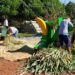 Em 6 anos, projetos apoiados pela Suzano retiraram 31 mil pessoas da linha da pobreza em Mato Grosso do Sul
