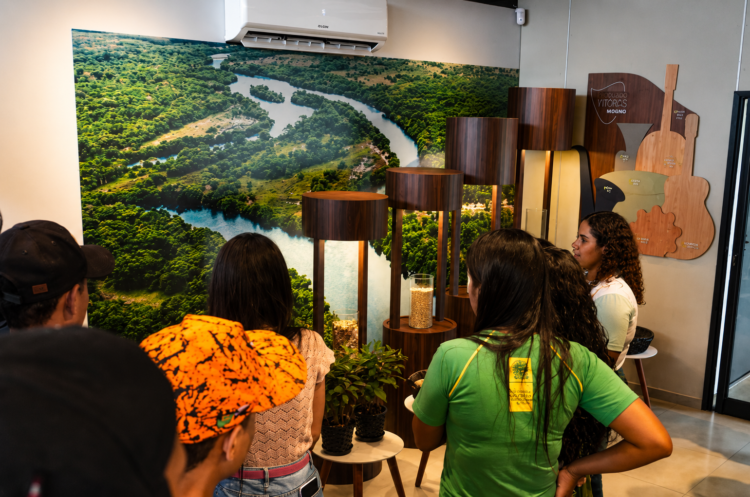 Com o lema “Respeitar o meio ambiente é o nosso melhor lance”, Arauco promove jornada ambiental