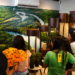 Com o lema “Respeitar o meio ambiente é o nosso melhor lance”, Arauco promove jornada ambiental