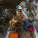 Natura lança startup de bioingredientes para conectar suas cadeias sustentáveis na Amazônia ao mercado global