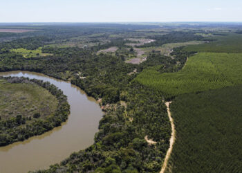 Suzano integra tecnologia e trabalho em rede para proteger mais de 300 mil hectares de Cerrado contra incêndios em MS