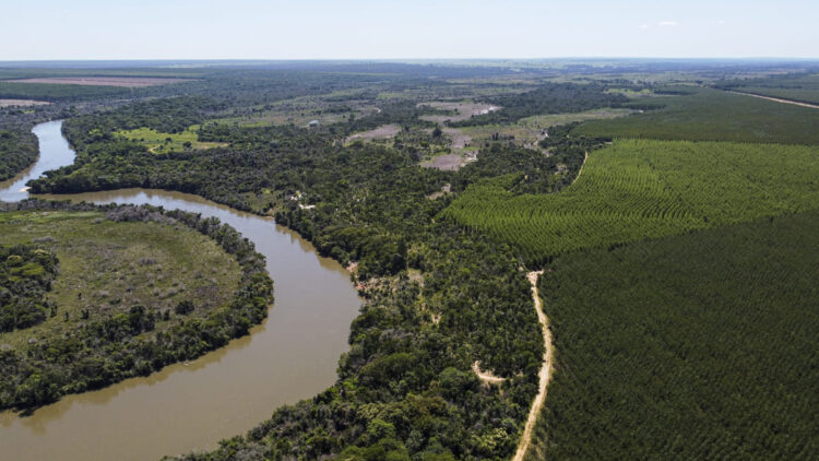 Suzano integra tecnologia e trabalho em rede para proteger mais de 300 mil hectares de Cerrado contra incêndios em MS