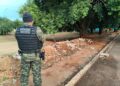 Guarda Municipal flagra descarte de entulho em praça e aplica multa de R$ 5 mil