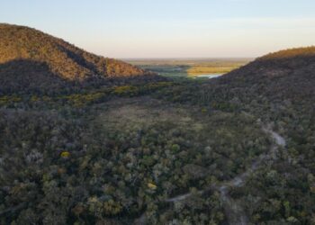 Para preservar o Pantanal, produtores rurais têm ações de conservação remuneradas por programa do Governo de MS