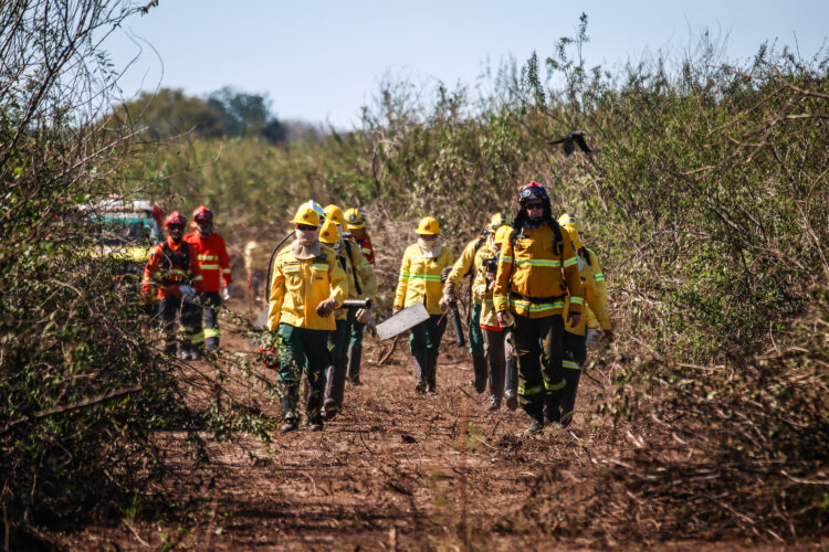 Brigadistas indígenas e comunitários realizam queima prescrita em área protegida do Pantanal