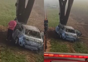 Colisão de Corolla contra árvore mata duas pessoas na MS-379 e deixa vereador ferido