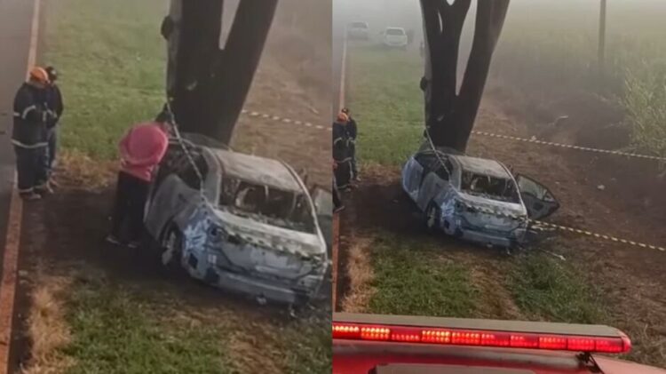 Colisão de Corolla contra árvore mata duas pessoas na MS-379 e deixa vereador ferido