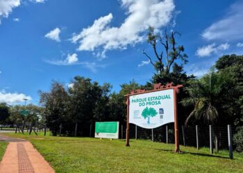 Arauco conclui dragagem de lago no Parque Estadual do Prosa em Campo Grande