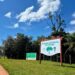 Arauco conclui dragagem de lago no Parque Estadual do Prosa em Campo Grande