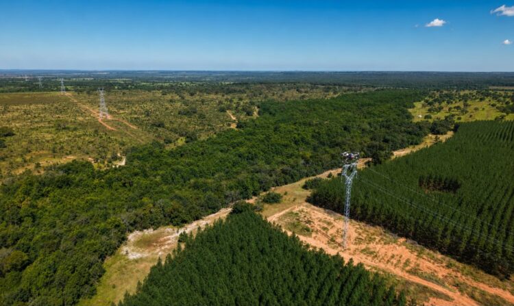Arauco usa drones para instalar cabos de alta tensão e reduzir impacto ambiental em MS