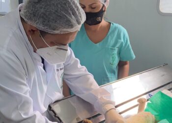 Entregue por Marcio Fernandes, Castramóvel oferece atendimento gratuito em Campo Grande