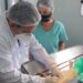 Entregue por Marcio Fernandes, Castramóvel oferece atendimento gratuito em Campo Grande
