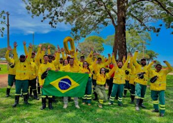 Dia de Proteção às Florestas: tecnologia e monitoramento ajudam Arauco a prevenir incêndios em MS
