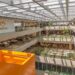 Natura lança Relatório Integrado 2025 com atingimento antecipado de metas ESG