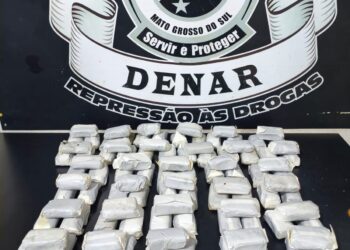 Polícia apreende mais de 10 quilos de haxixe em transportadora de Campo Grande