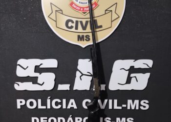 Polícia  prende dupla por comércio, porte ilegal de arma de fogo e falsa comunicação de crime no interior